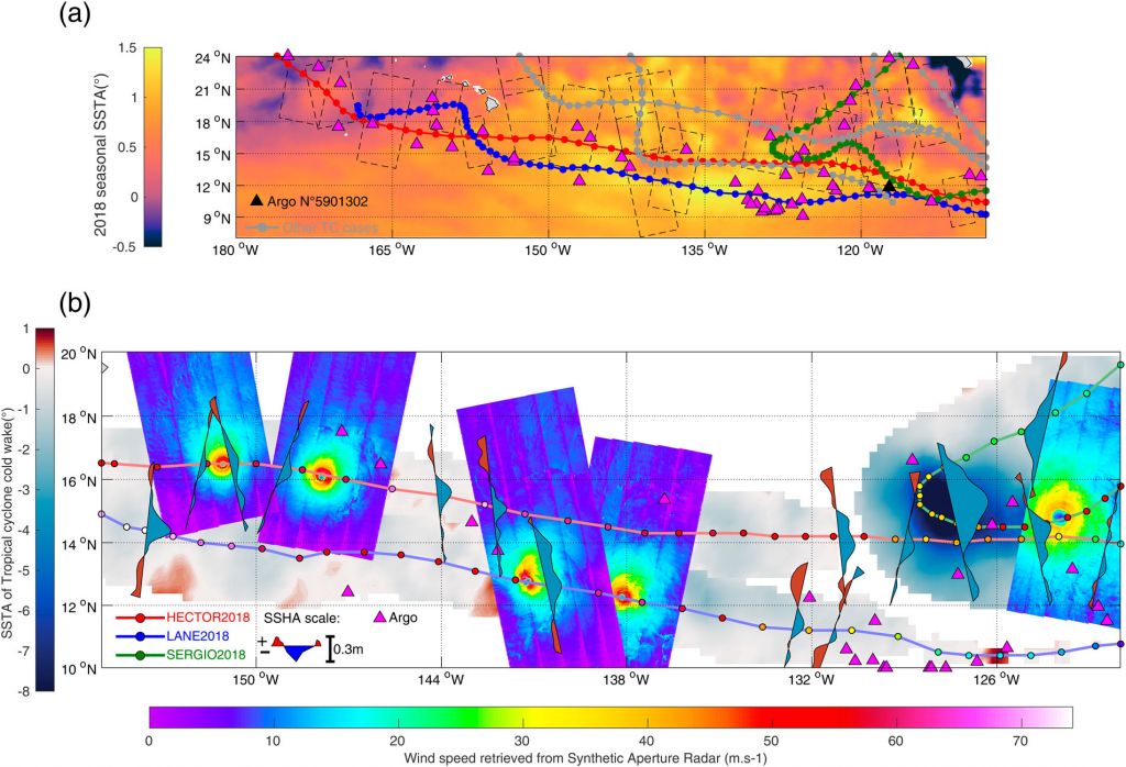 (top) Overview of the database with all the tracks, SAR swaths and Argo, (bottom) A zoom on Hector, Lane and Sergio